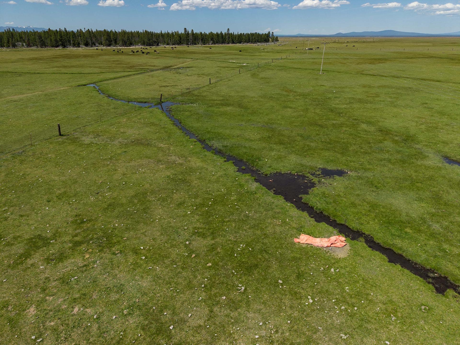 canal timber oregon bar y ranch pivots