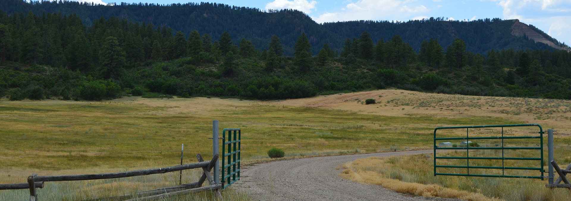 colorado hunting property for sale san juan vista ranch