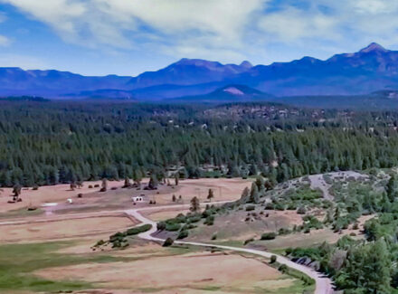 Wide view of a pine forest with rolling fields, a winding road, and distant mountains under a blue sky with clouds.
