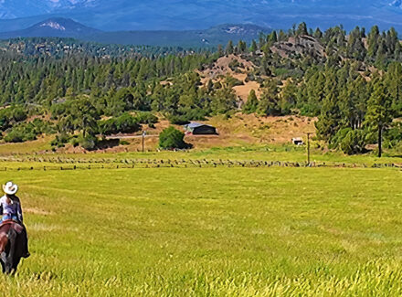 colorado ranch for sale pagosa peak horseman's retreat