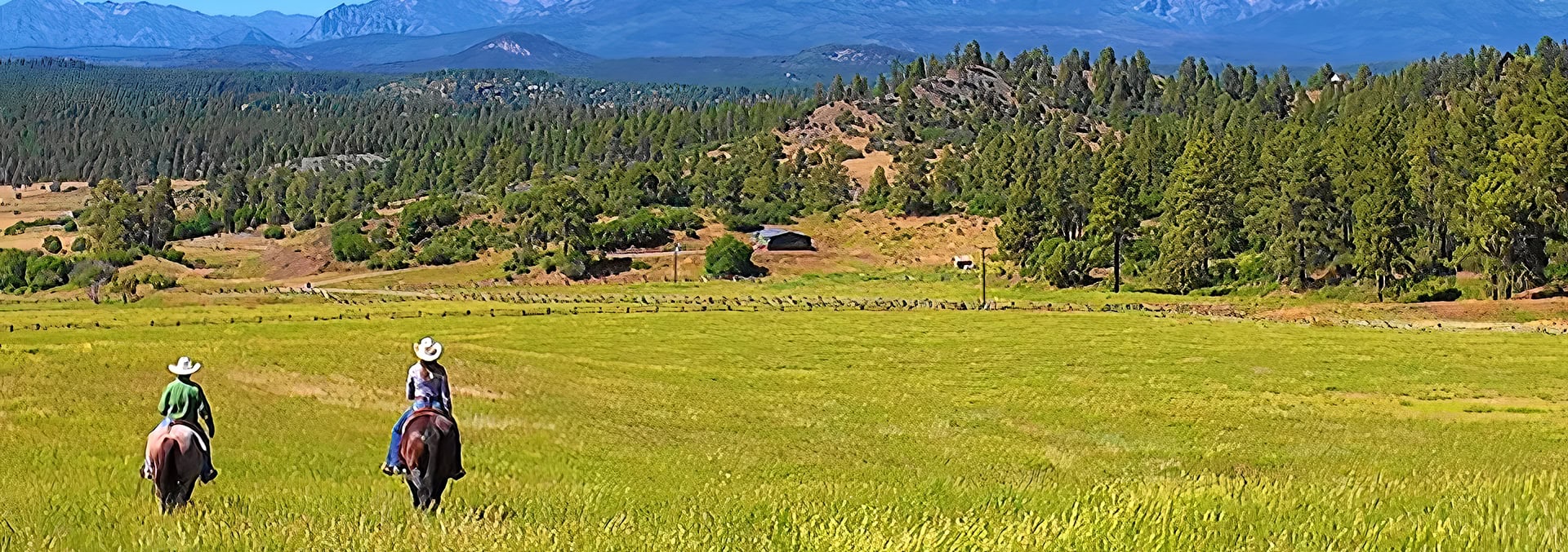 colorado ranch for sale pagosa peak horseman's retreat