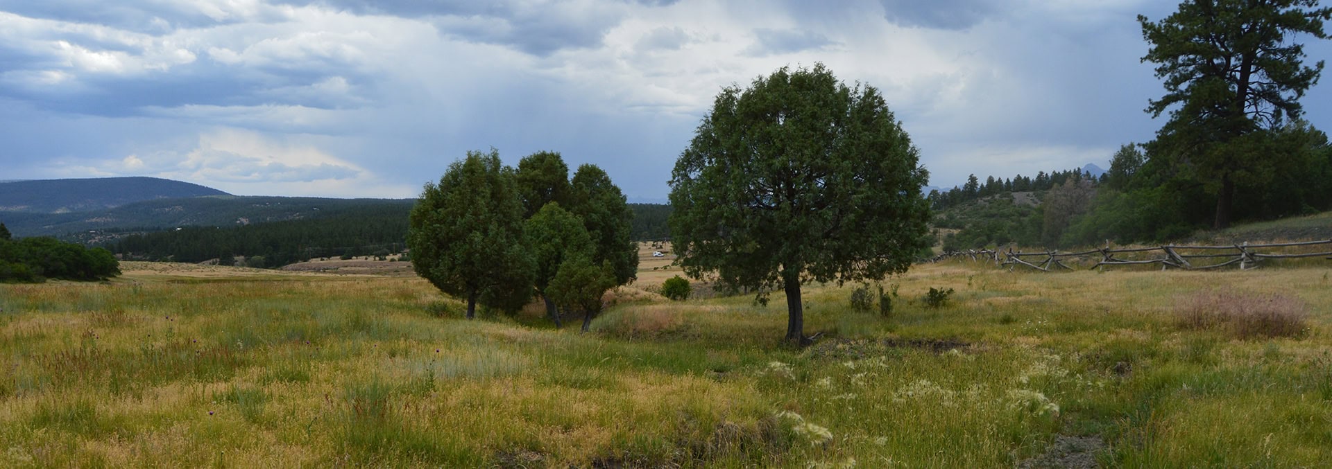 Open grassland with scattered trees, a wooden split-rail fence on the right, and stormy clouds overhead.