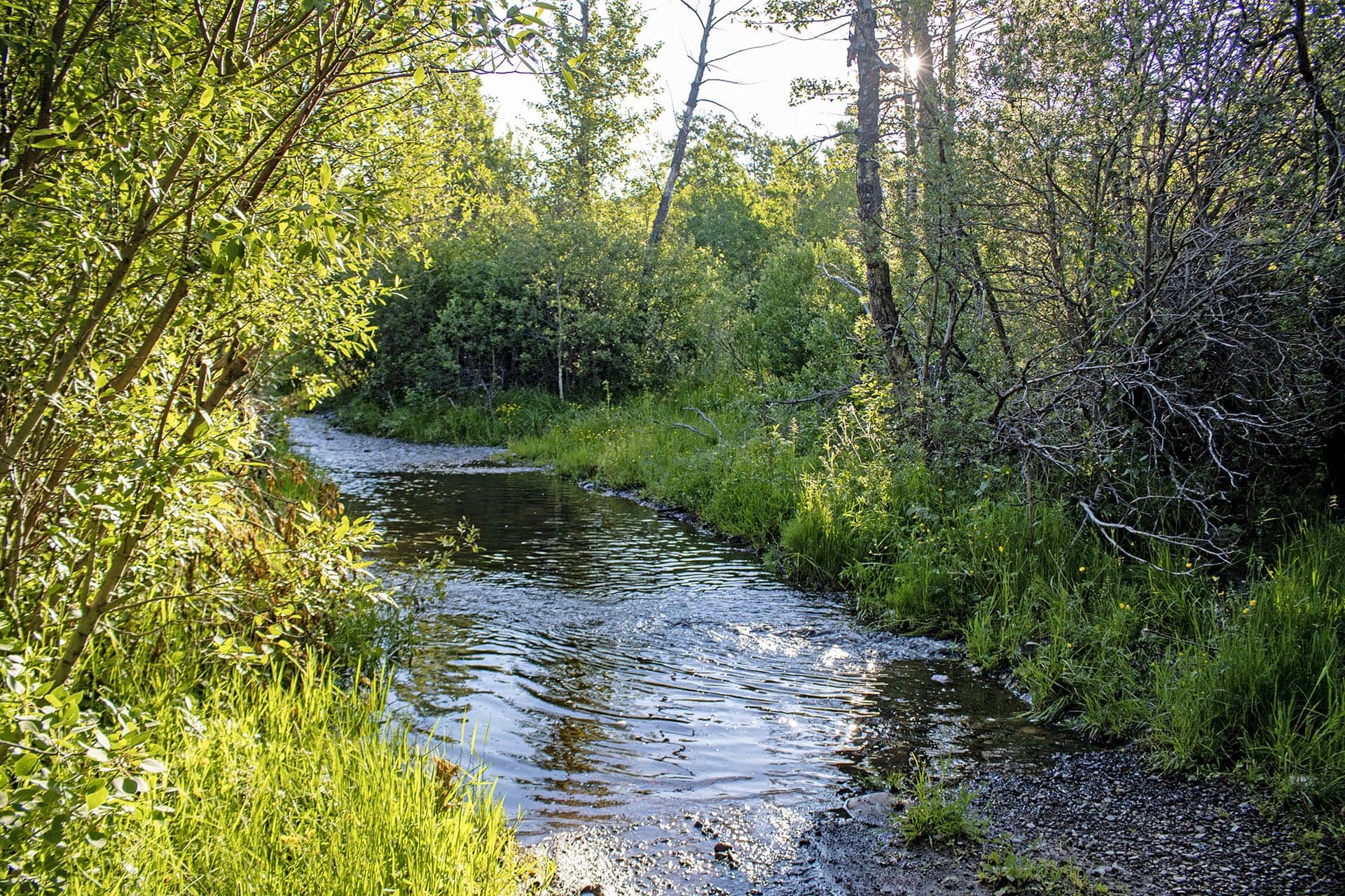 creek frontage land montana st. mary overlook
