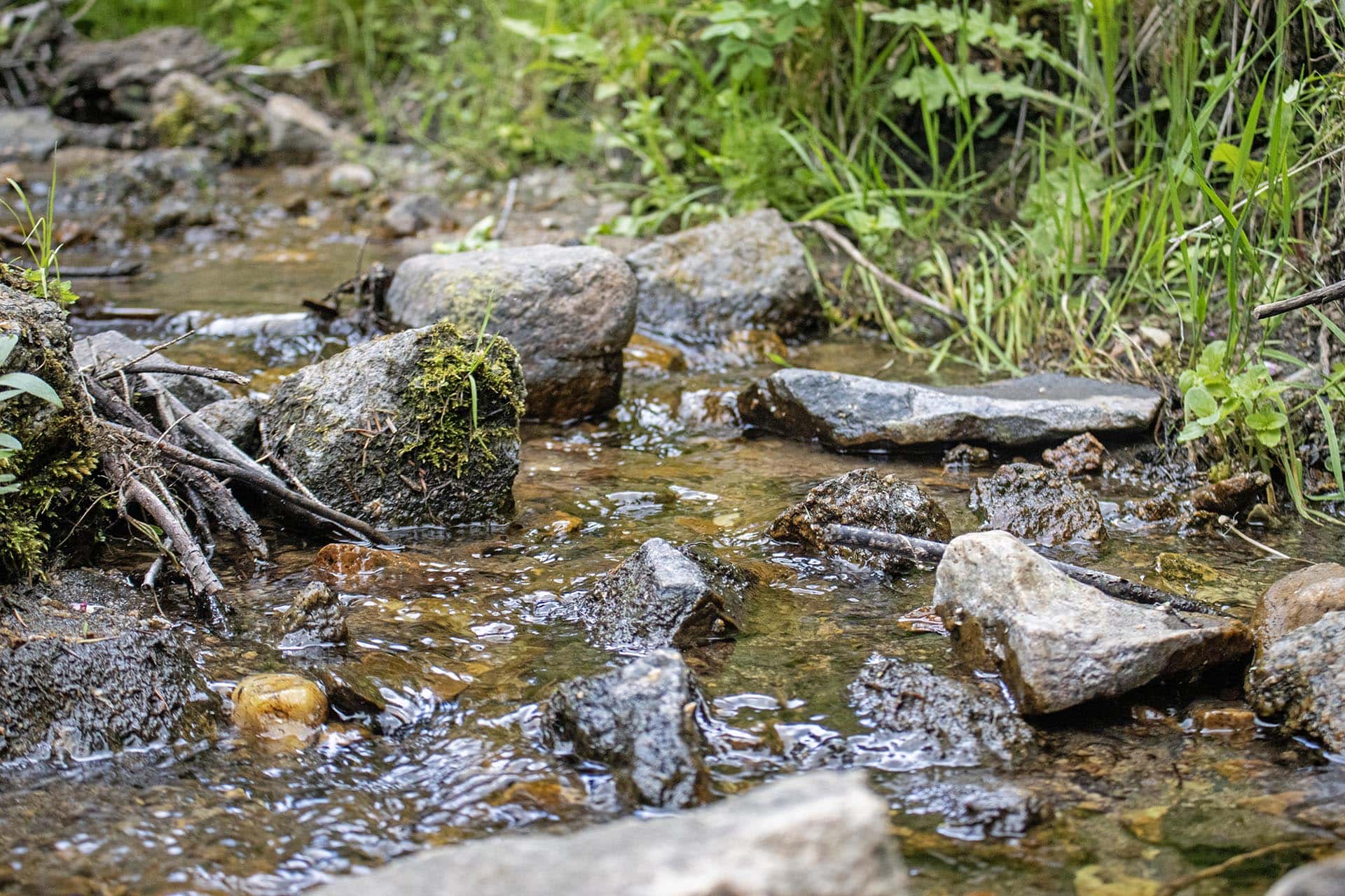 creek frontage property for sale montana spotted dog retreat