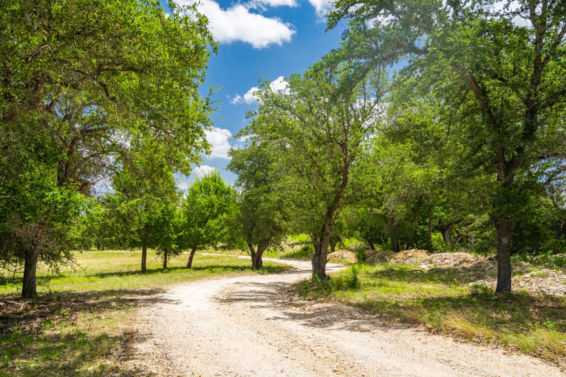 Dirt path winds through a sunlit grove of green trees under a blue sky with a few white clouds.
