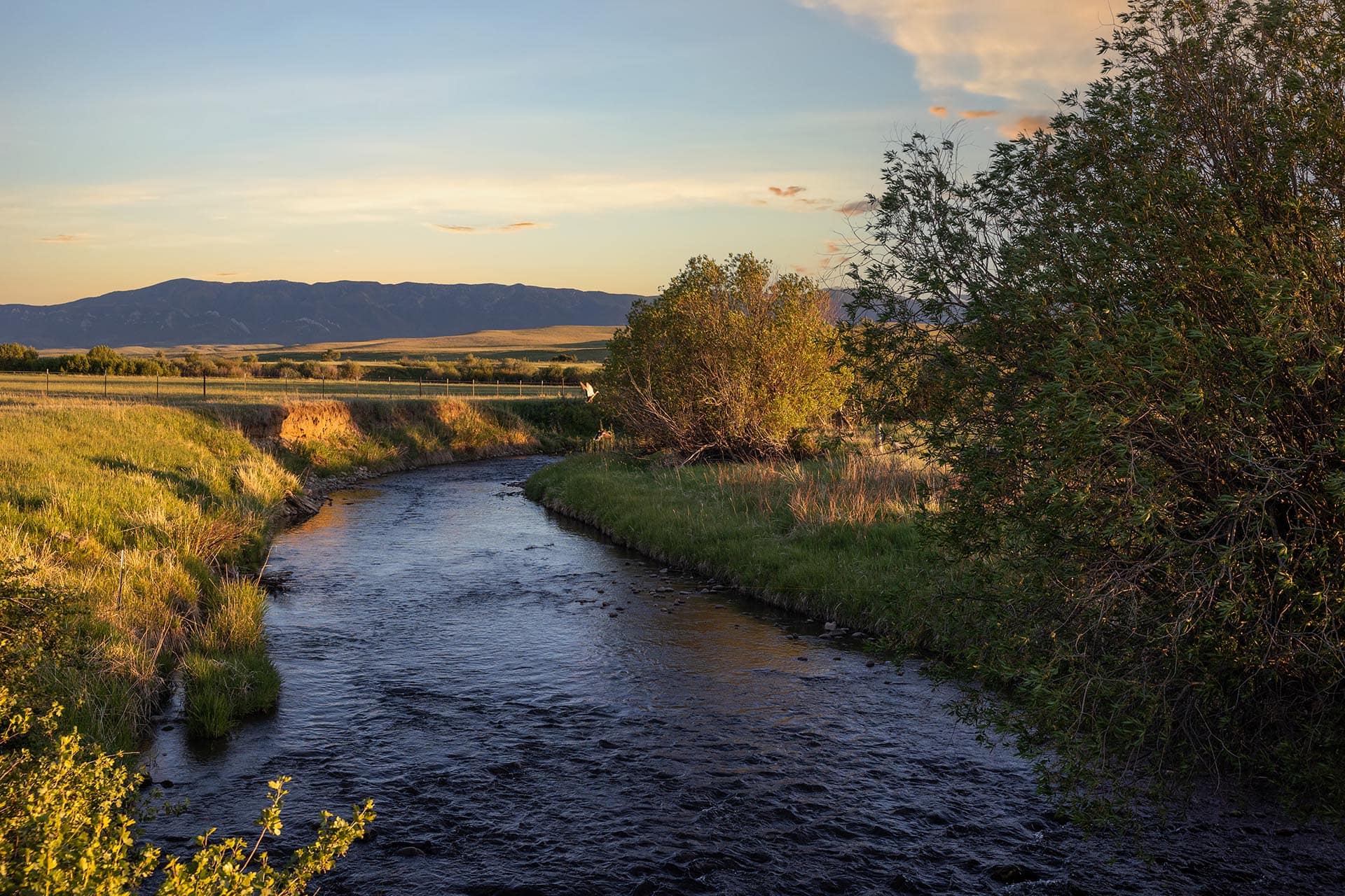 Sunlit river winds through grassy fields toward distant mountains at sunset, with bushes along the bank and a large tree on the right.