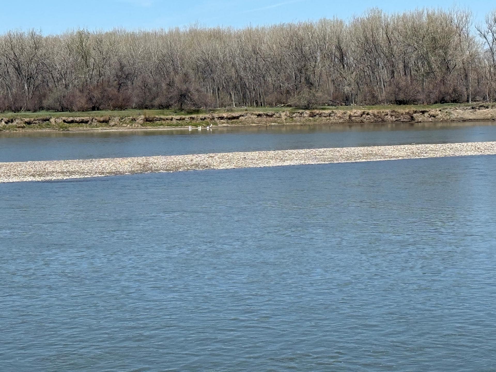 eastern montana ranch for sale yellowstone trail river ranch