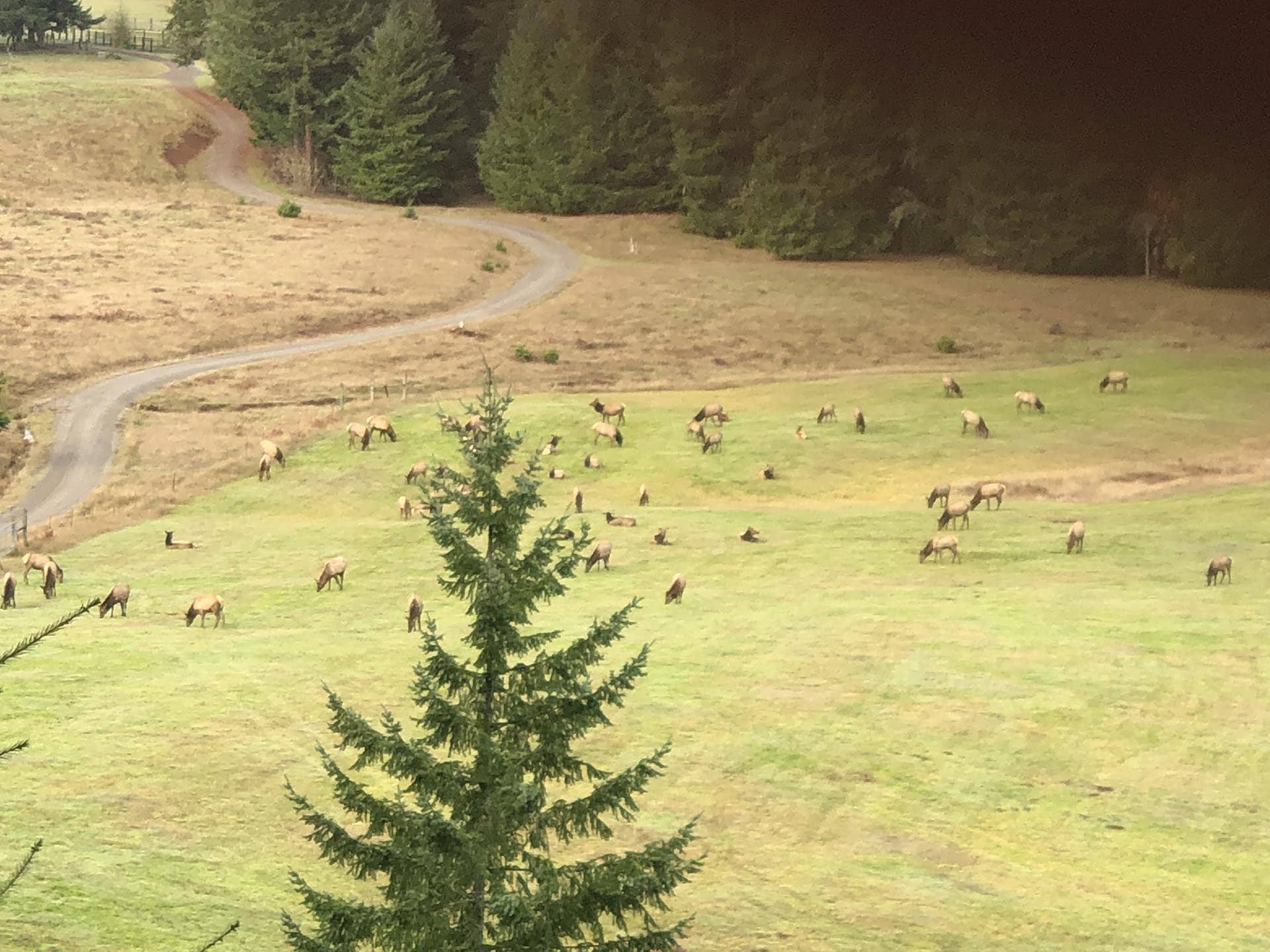 elk hunting ranch for sale oregon north fork ranch