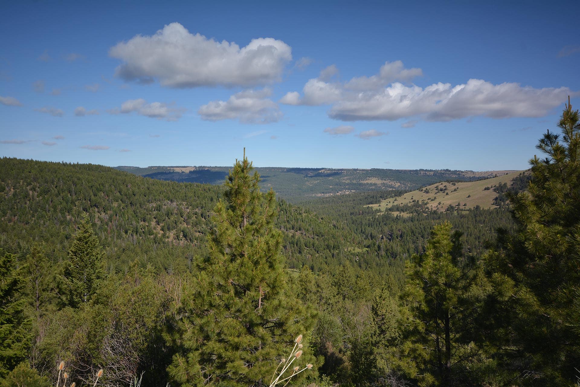 elk ranch oregon m5 land co