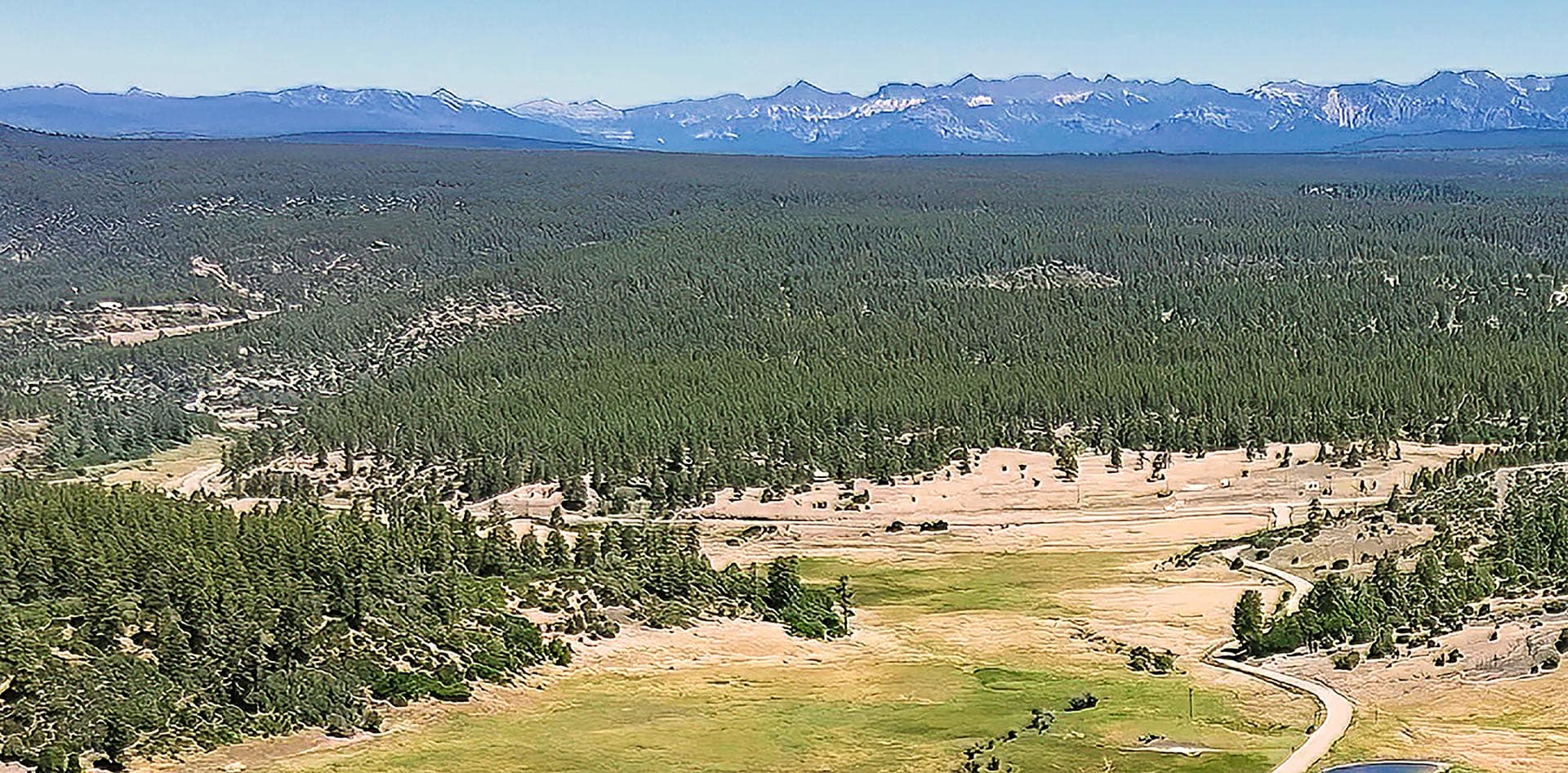 Aerial view of a vast conifer forest with distant snow-capped mountains and a winding road in the foreground.