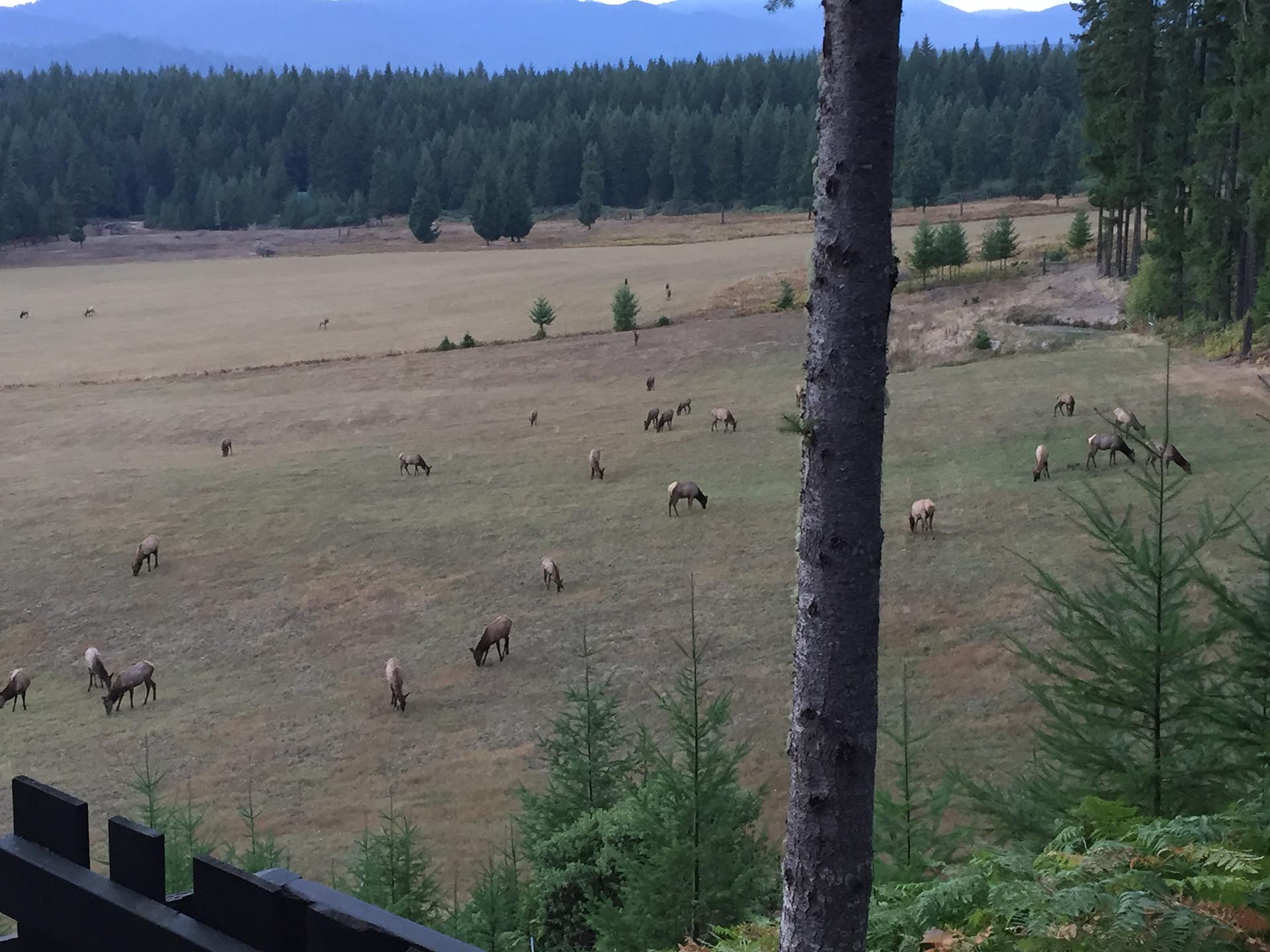 eugene oregon area ranch for sale north fork ranch