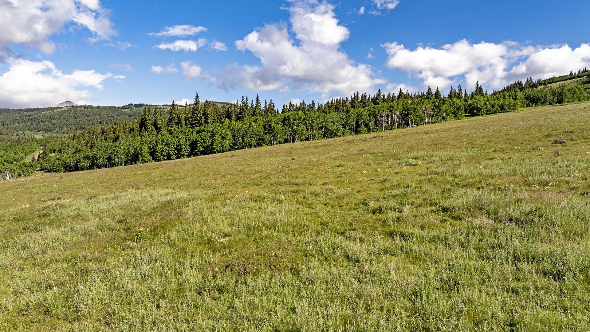 expansive open acreage for sale montana cutbank creek fishing retreat
