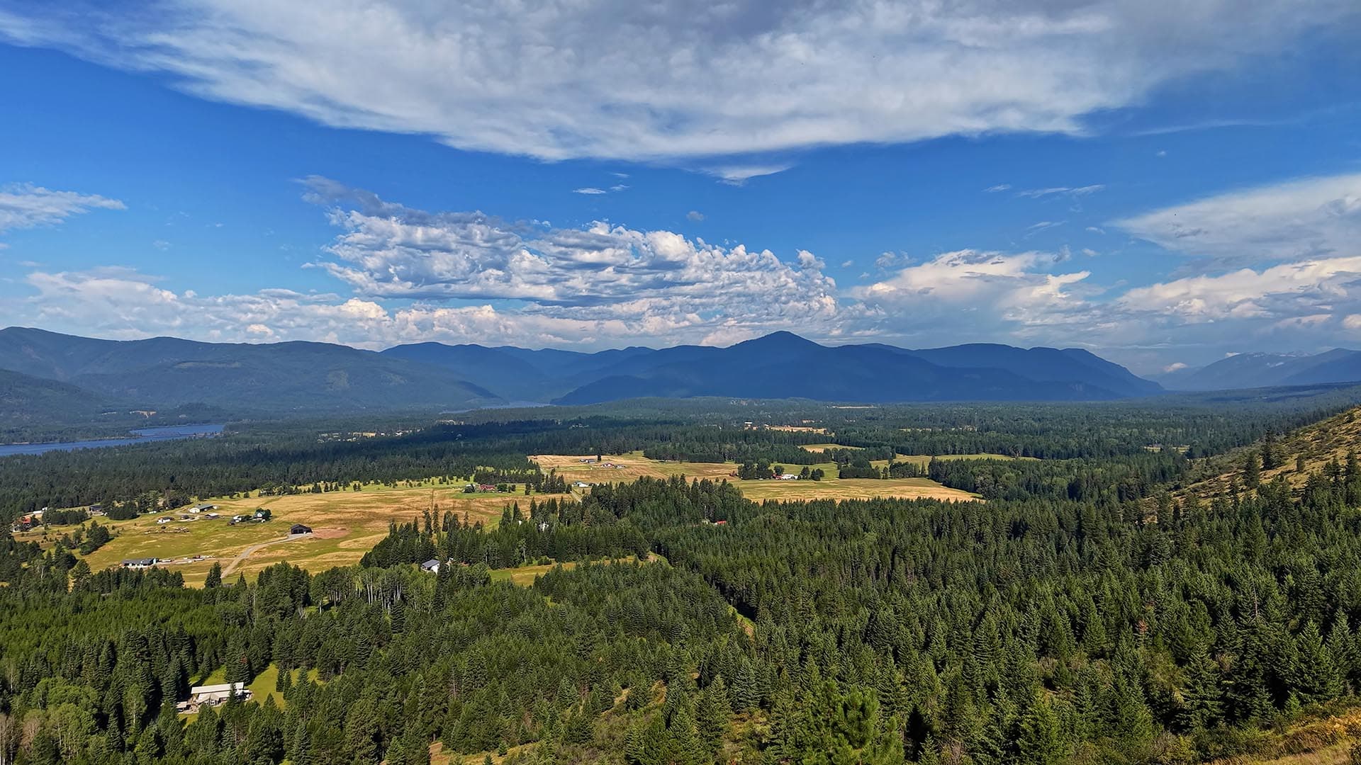 Valley landscape with a pine forest in the foreground, open fields and small houses, and blue mountains under a partly cloudy sky.