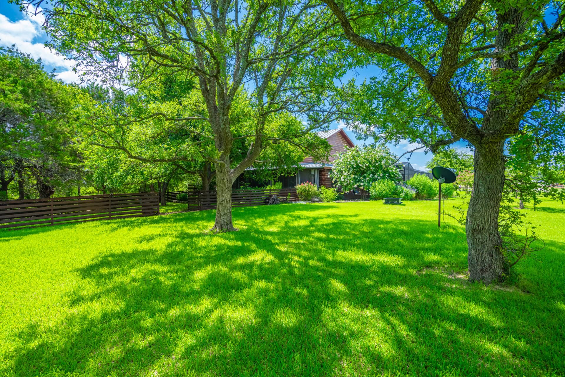 Sunlit backyard with vibrant green grass, large mature trees, and a wooden fence near a house in the background.
