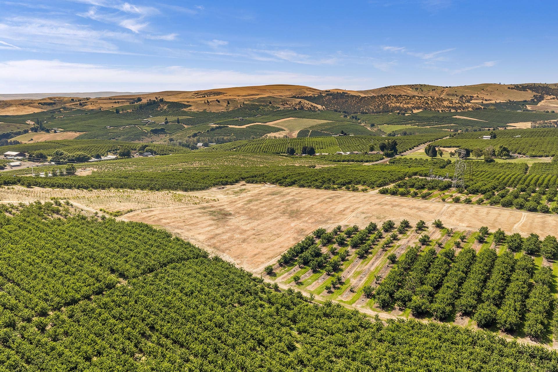 Aerial view of green orchards and patchwork fields on rolling hills under a bright blue sky.