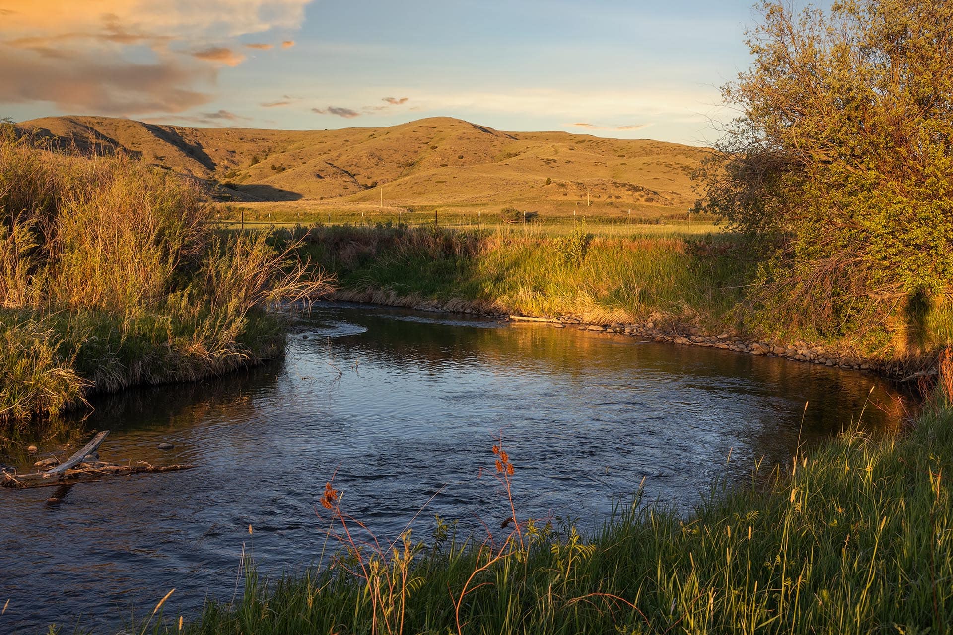 fish bend montana J Lazy J Ranch