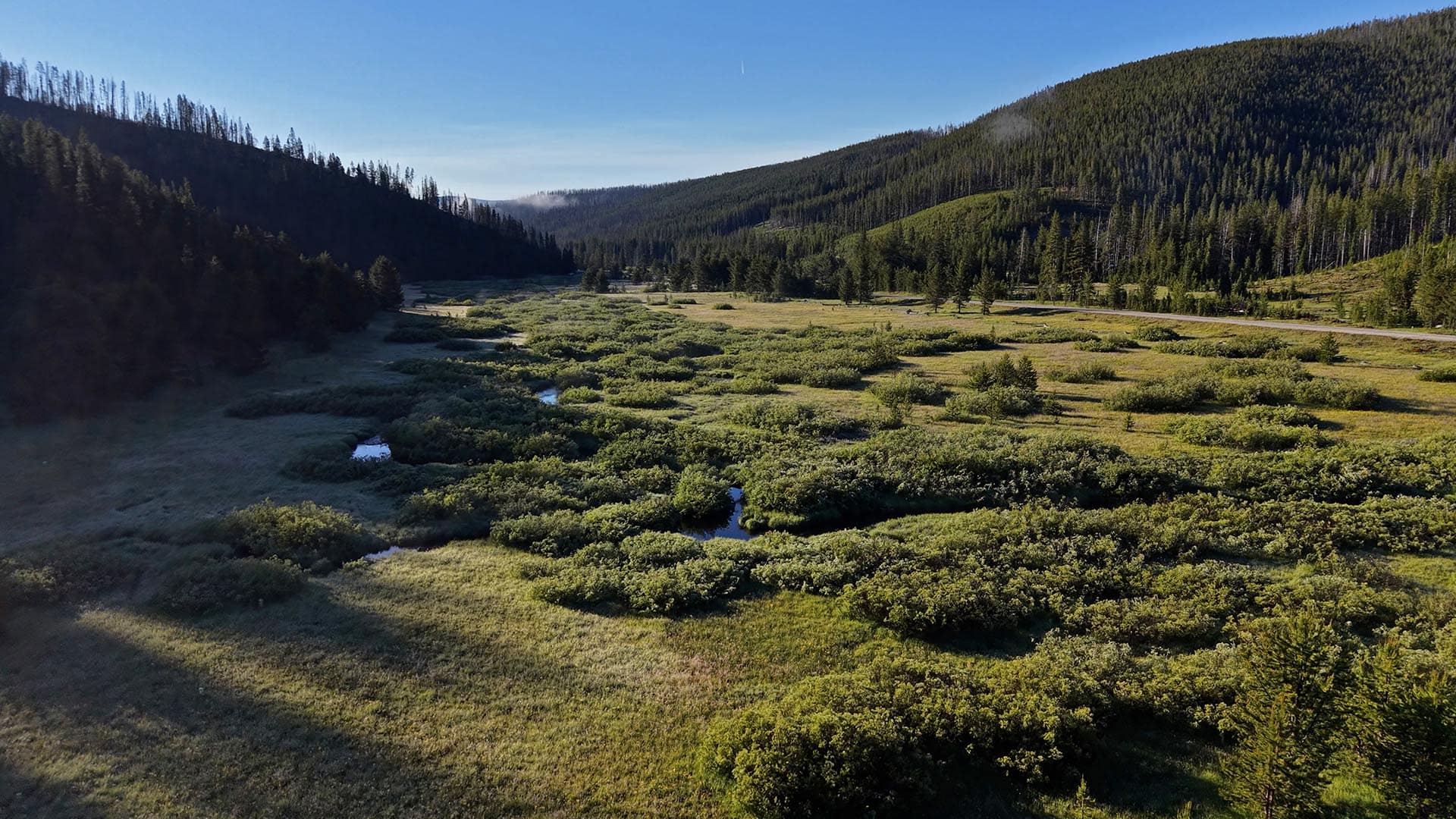 Wide valley with green shrubs, a winding stream, and pine-covered hills under a clear blue sky.