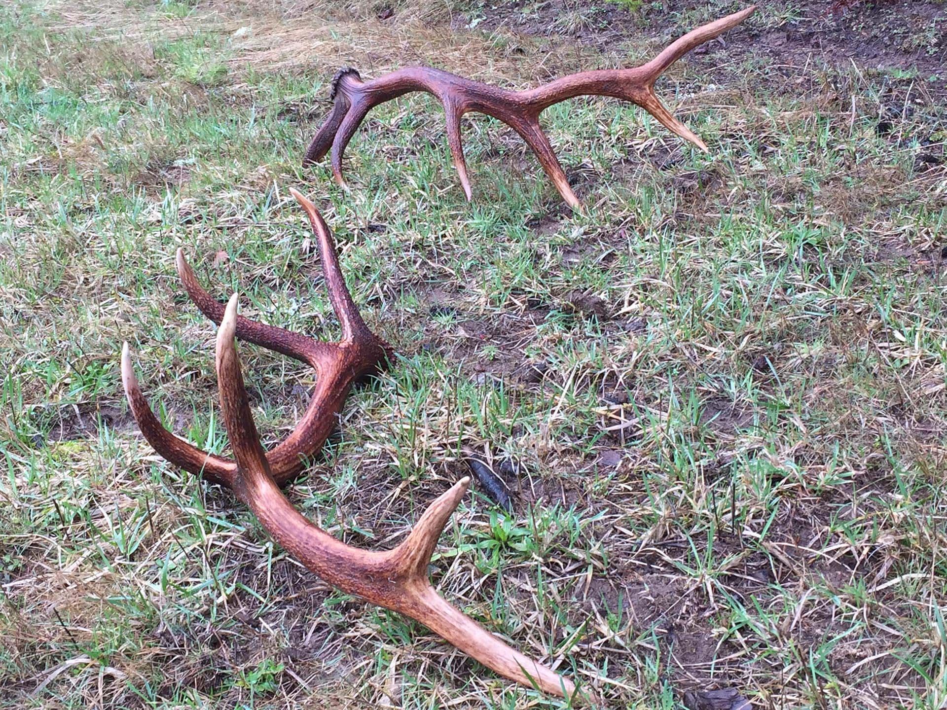 fishing property for sale oregon north fork ranch