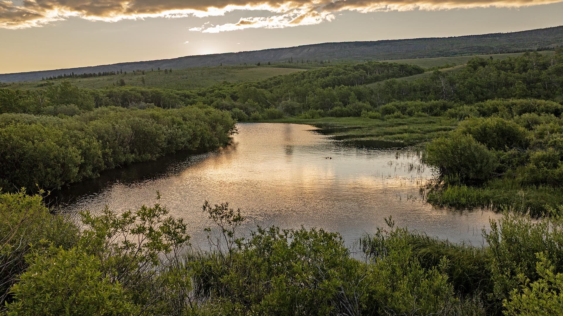 fishing property for sale with pond montana st. mary overlook