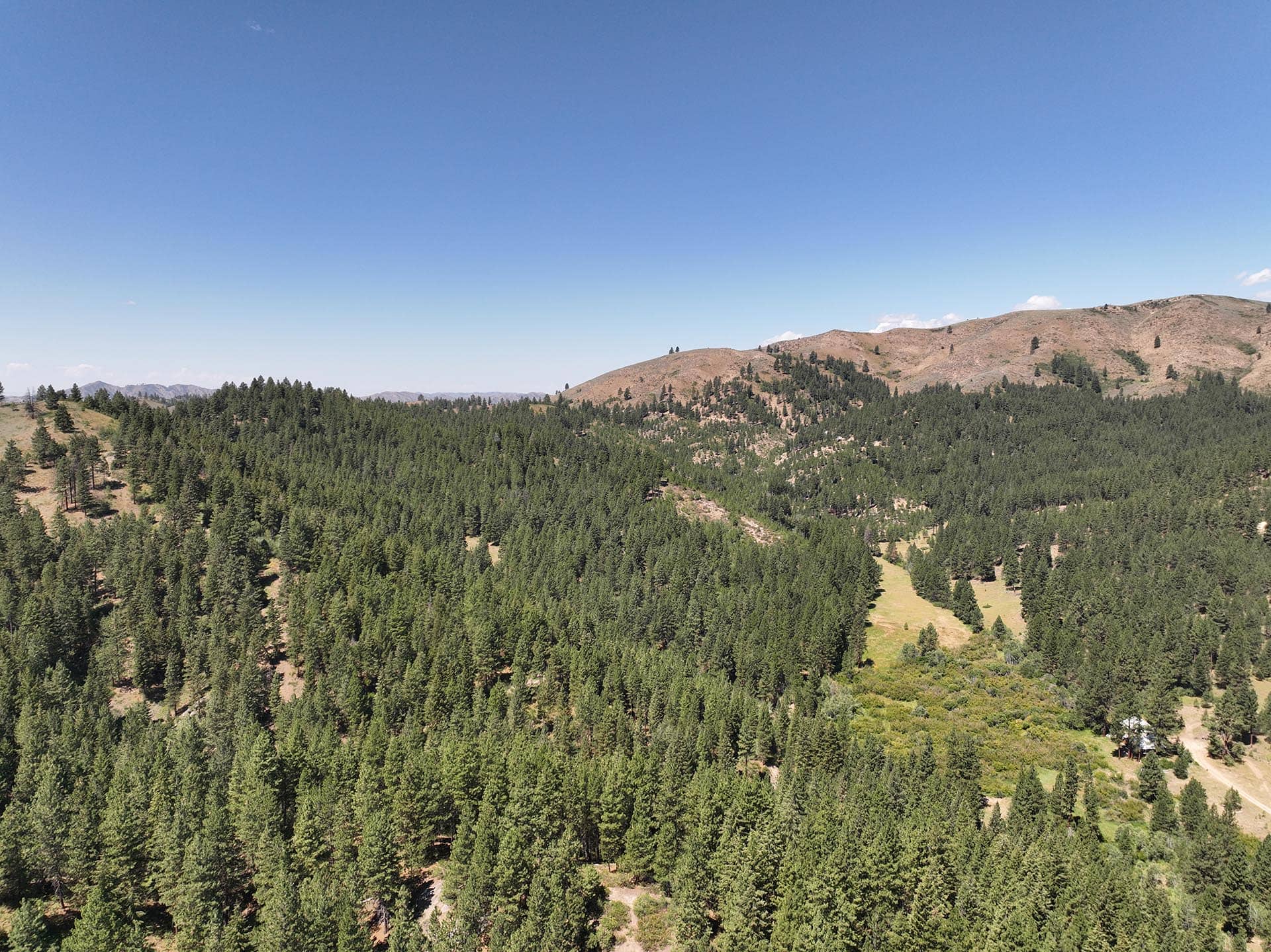 forested hillside meadow view idaho mountain land and lots