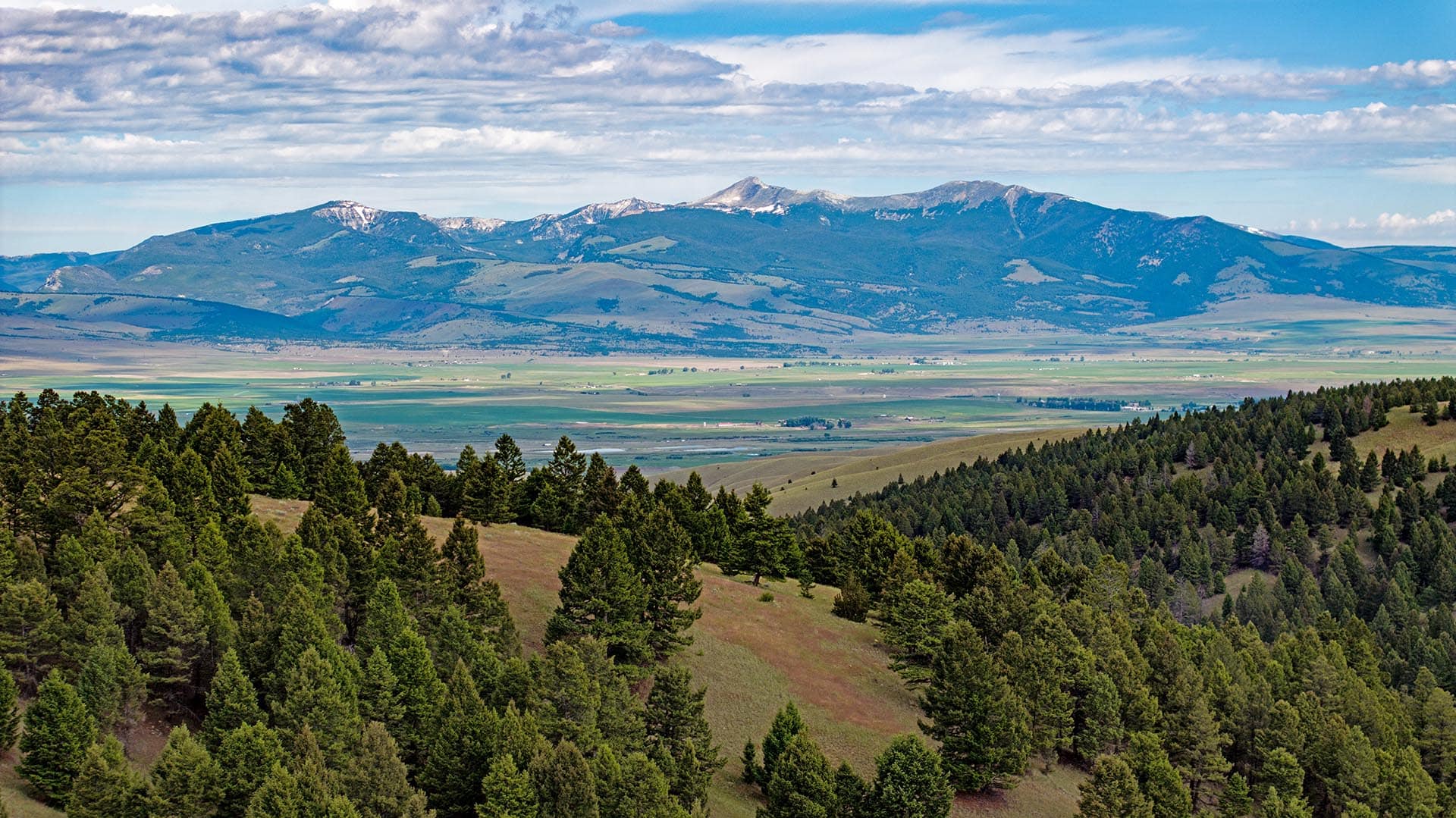 forested hunting property for sale montana spotted dog retreat