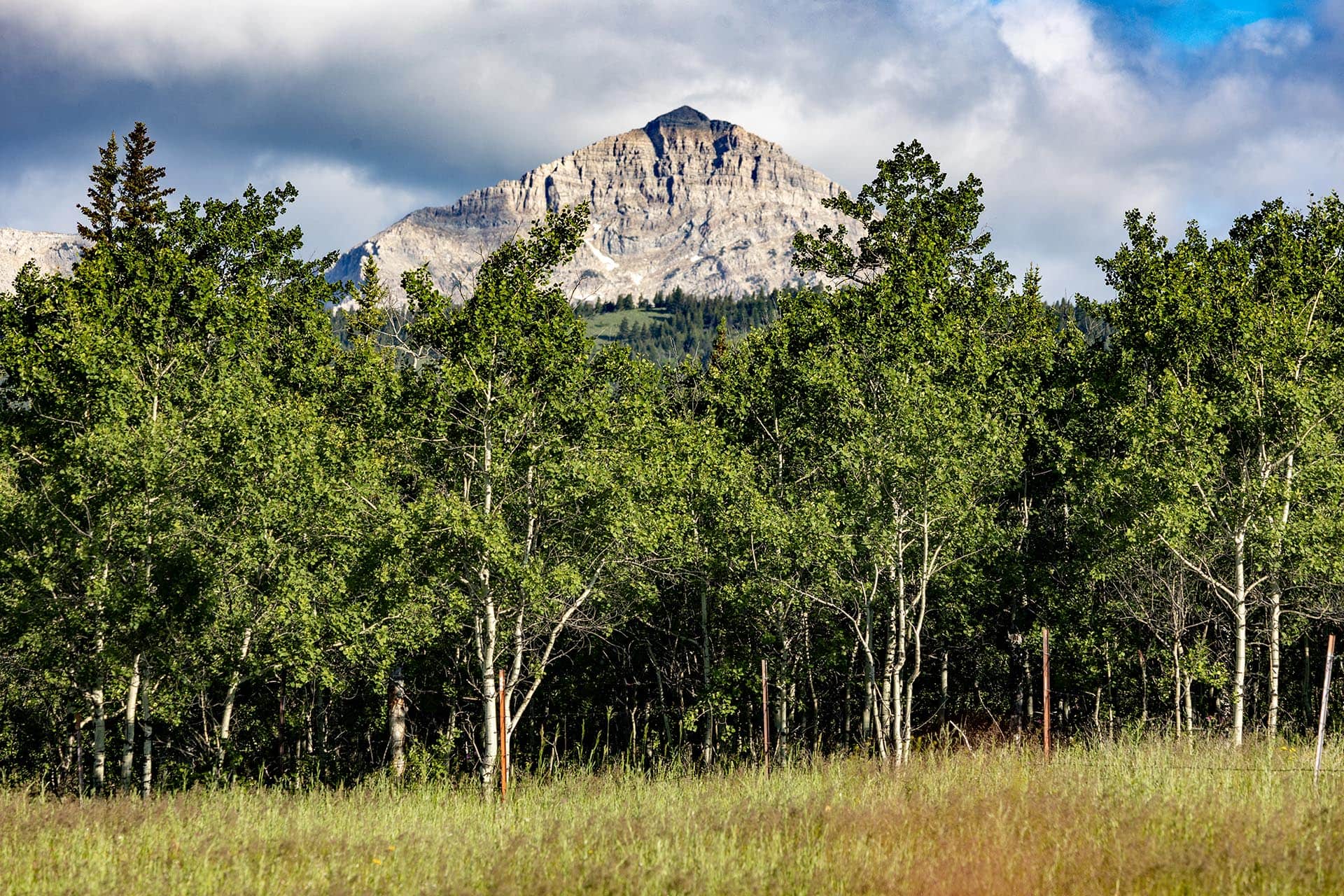 forested river valley land montana cutbank creek fishing retreat