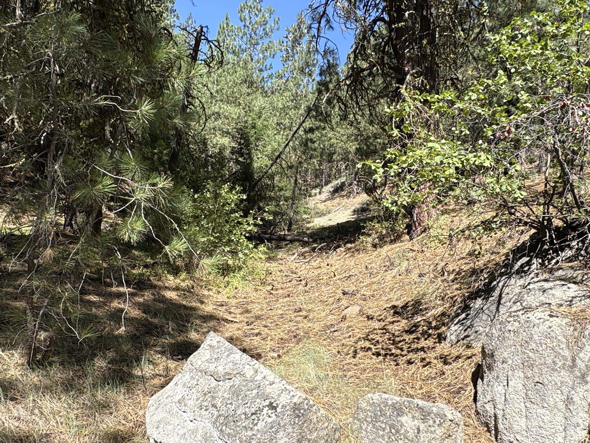 granite boulder forest trail idaho mountain land and lots