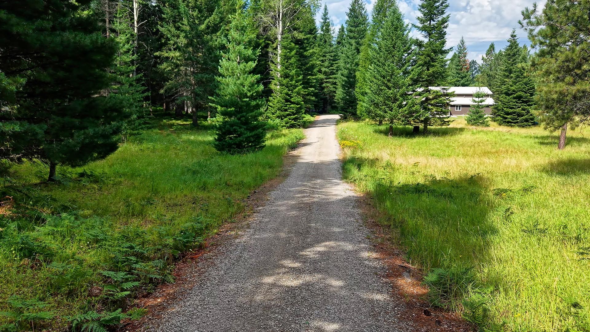 Gravel path winds through a pine forest toward a distant house with white roof.