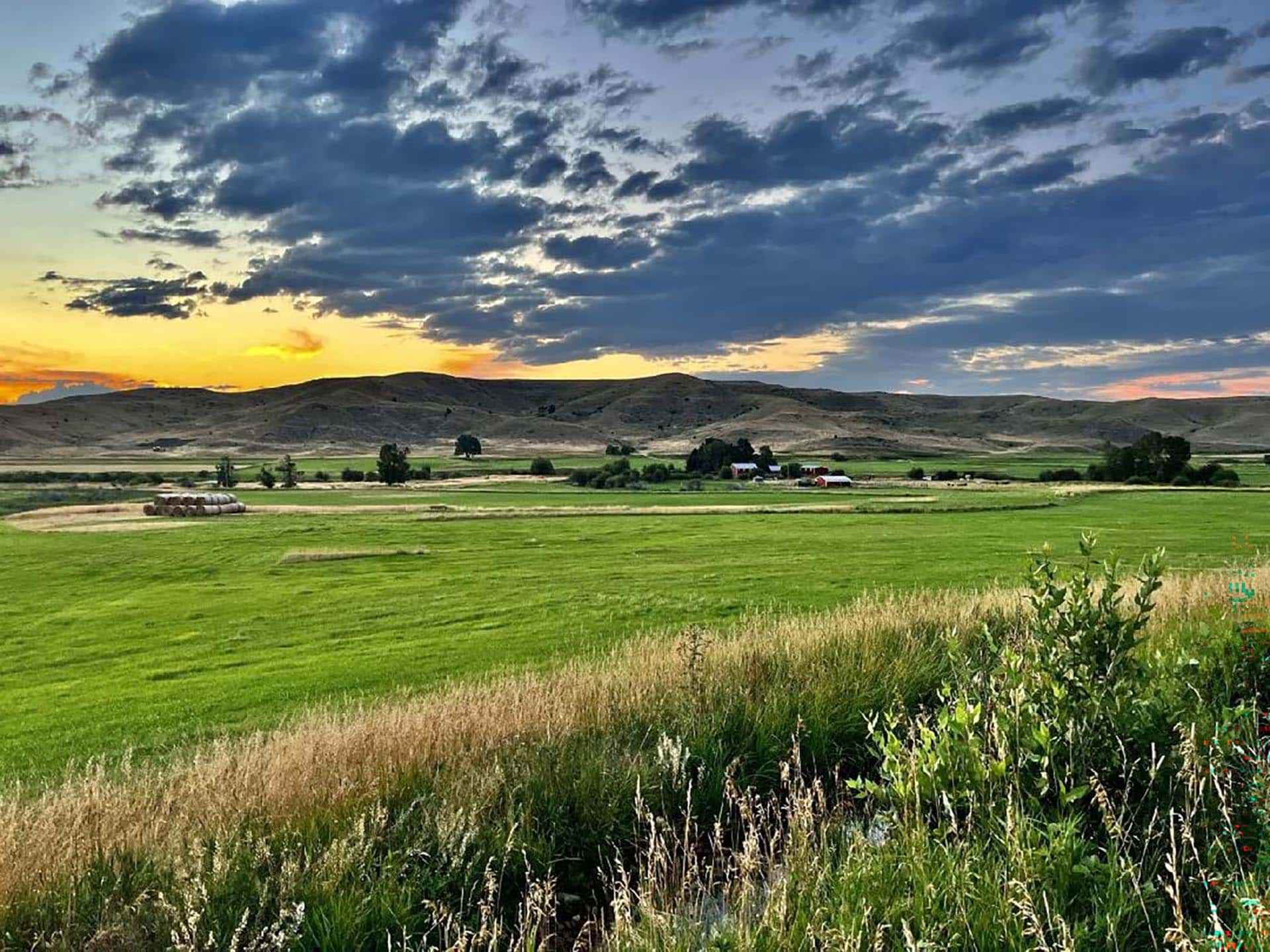 green pasture montana j lazy j ranch