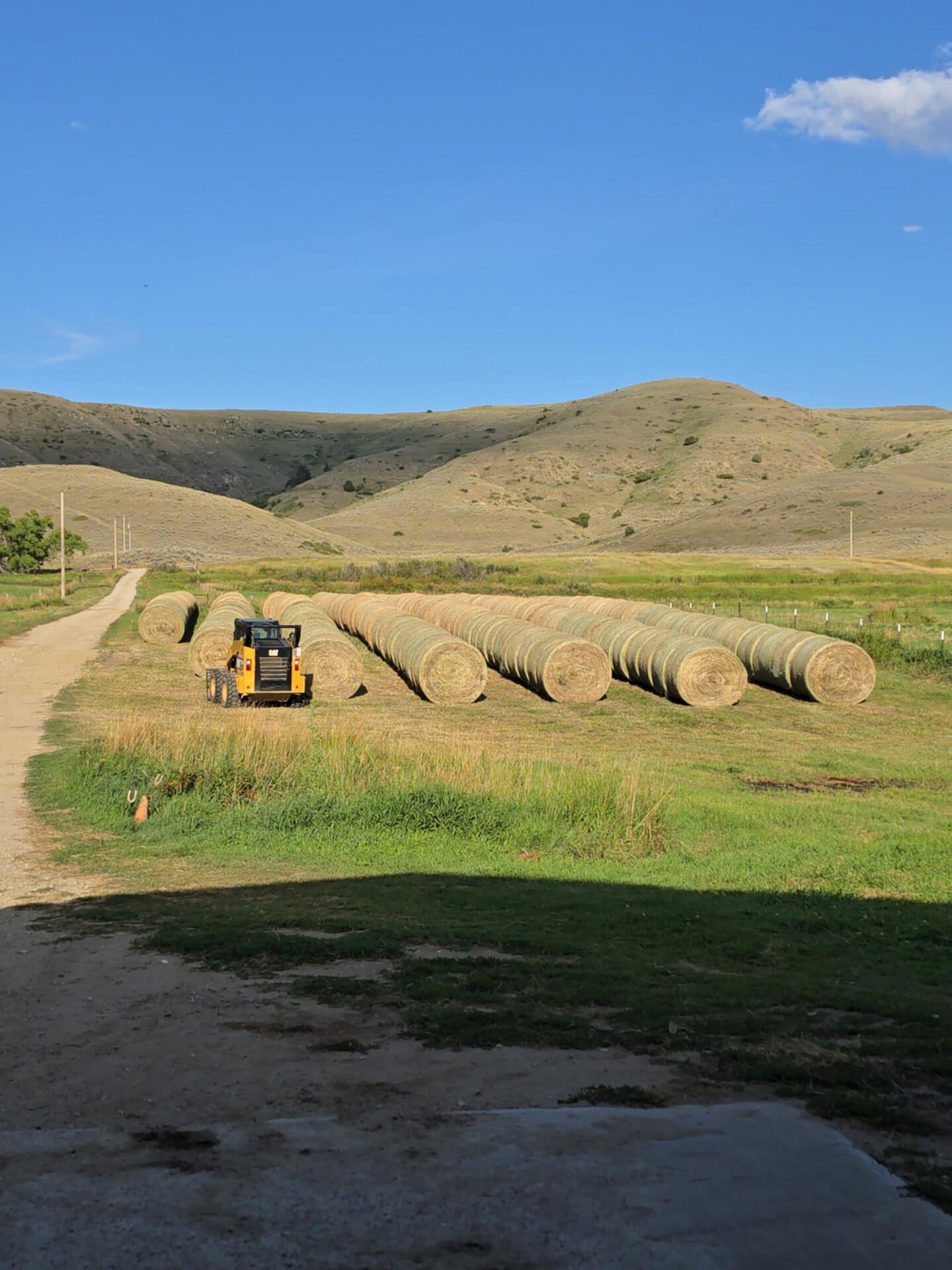hayfield montana J Lazy J Ranch