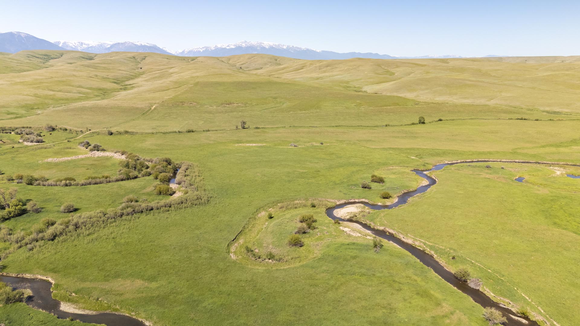 hayfield with creek west rosebud montana j lazy j ranch