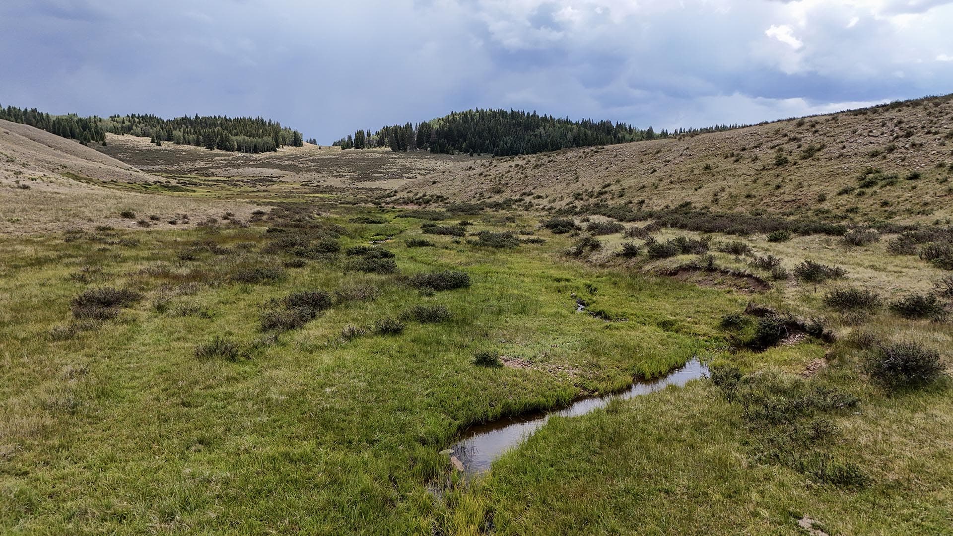 Wide valley scene with green grasses, a narrow stream, and distant forest under a cloudy sky on a sunny day turning stormy.