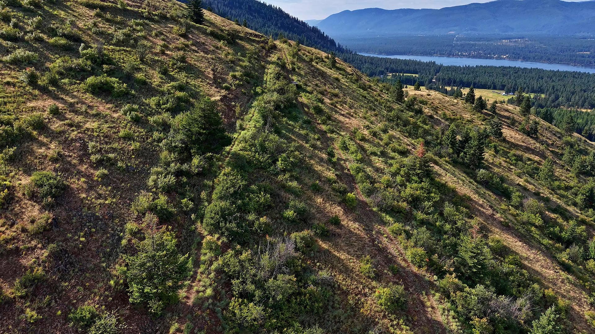 Sloping hillside covered with shrubs and scattered trees, leading to a forested valley and distant lake.