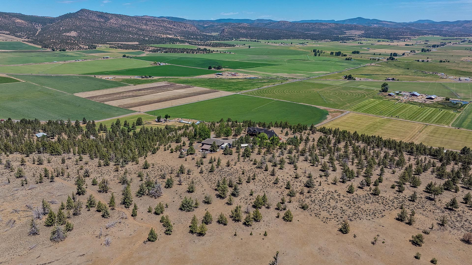 Aerial view of patchwork farmland with green fields, farm buildings, and a tree-lined foreground against distant mountains.
