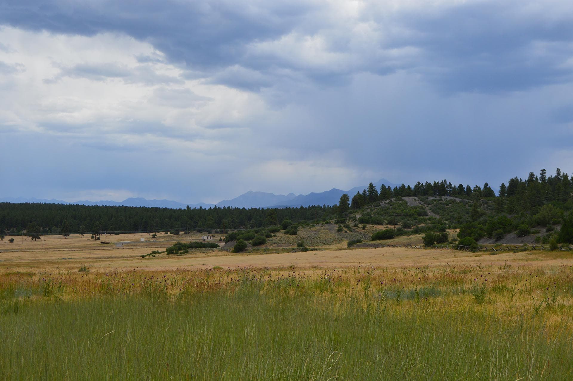 Expansive grassland with a tree line and distant mountains under a gloomy, stormy sky.