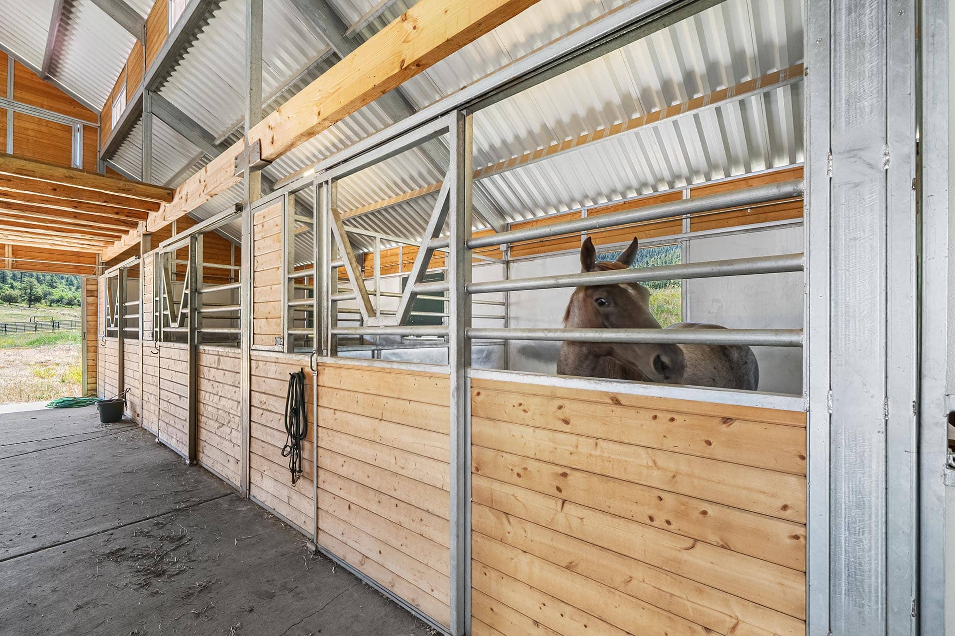 Horse peeking over a wooden stall railing in a metal-framed barn interior