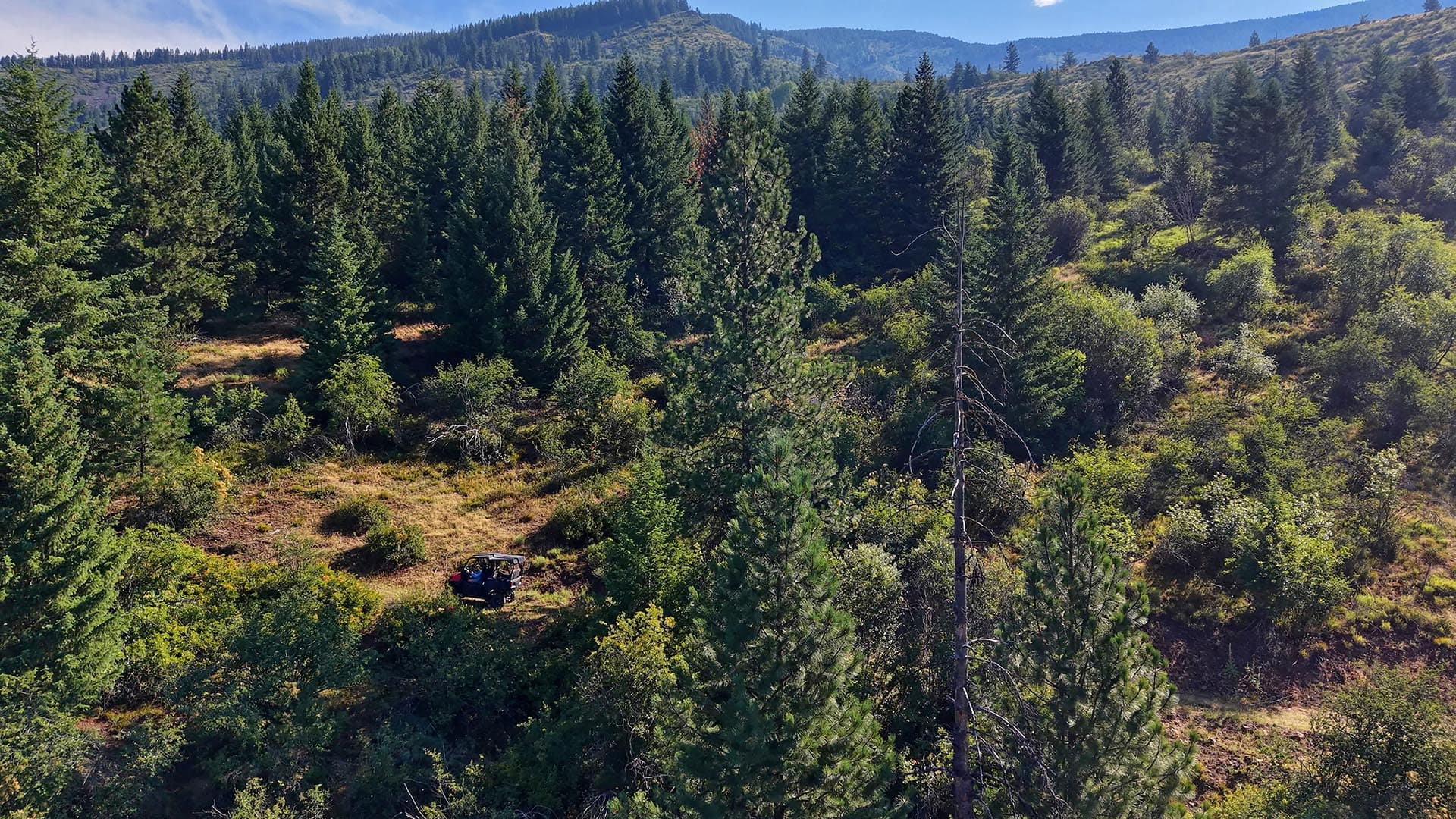 Dense pine forest on rolling hills with distant mountains; a rugged off-road vehicle sits in a small clearing in the trees.
