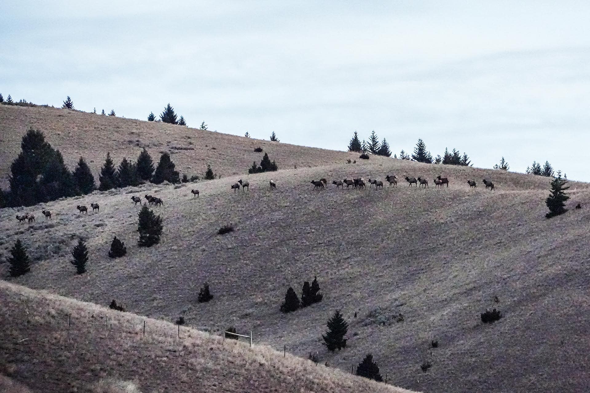 hunting ranch montana running j ranch