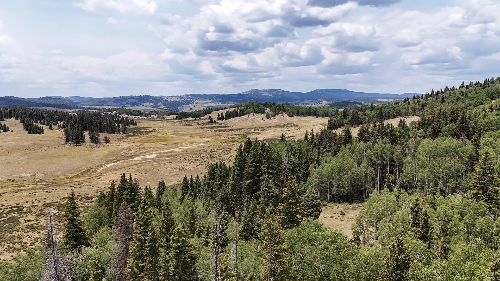 Panoramic view of a grassy valley with scattered trees, rolling hills, and distant mountains under a cloudy sky.