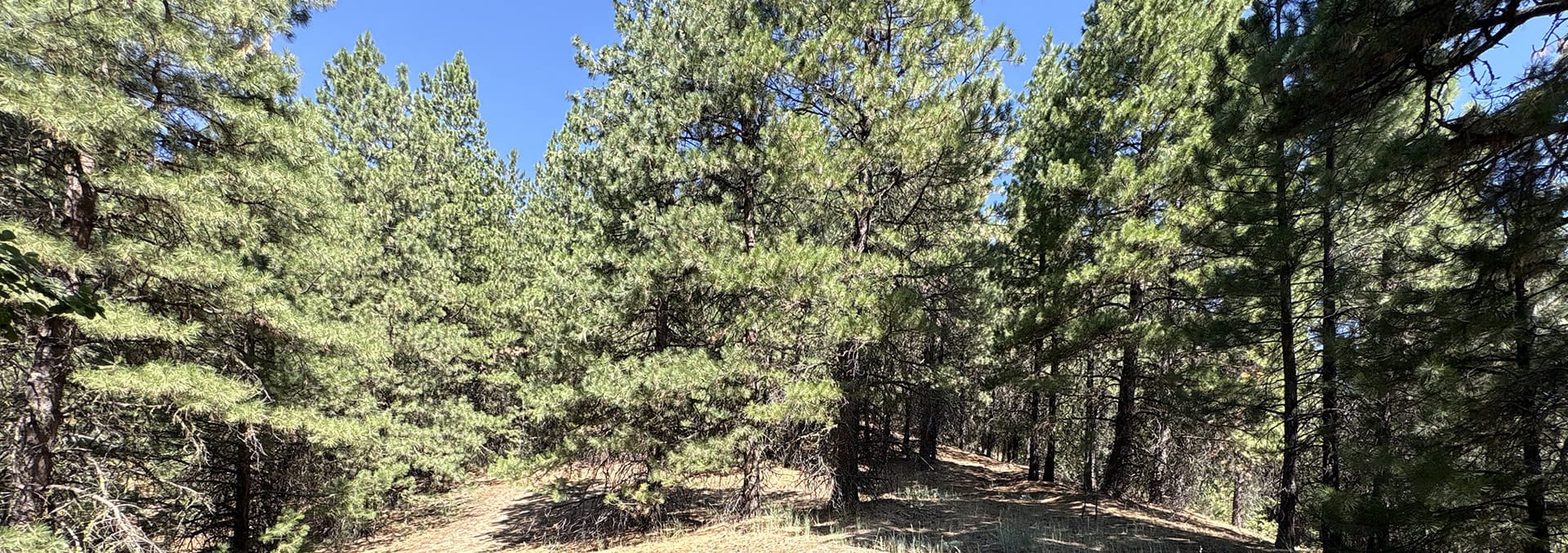 idaho development property for sale mountain land and lots