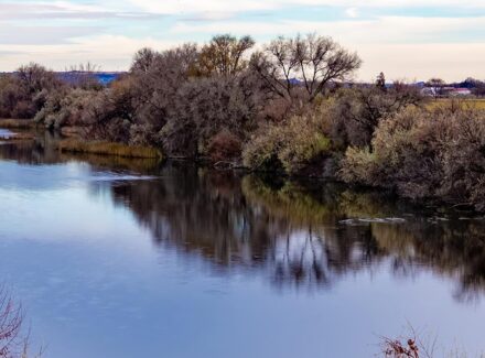 idaho farms for sale snake river waterfront farm