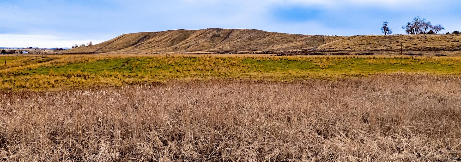 idaho property for sale snake river waterfront farm