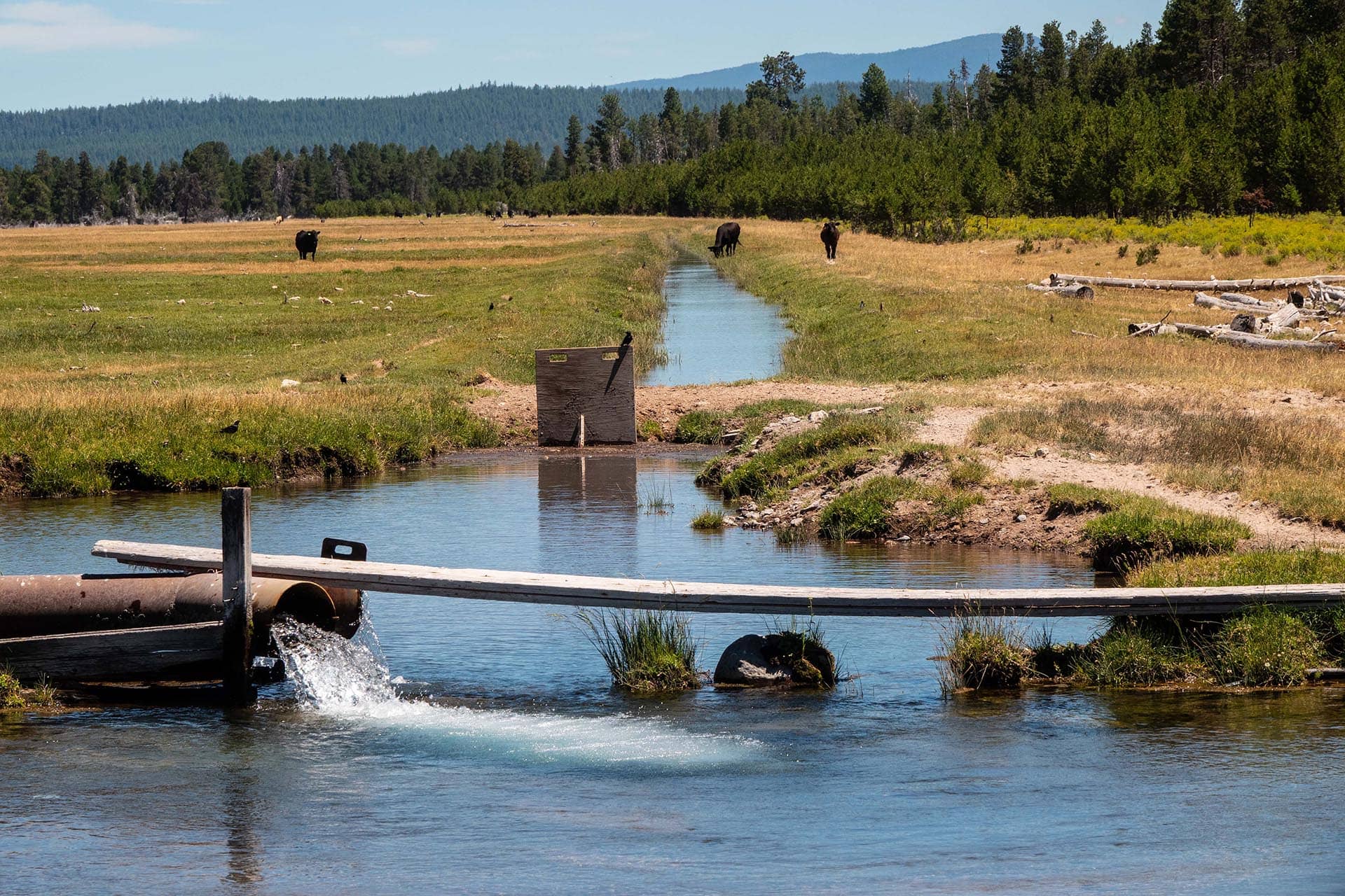 irrigation canal oregon bar y ranch & pivots