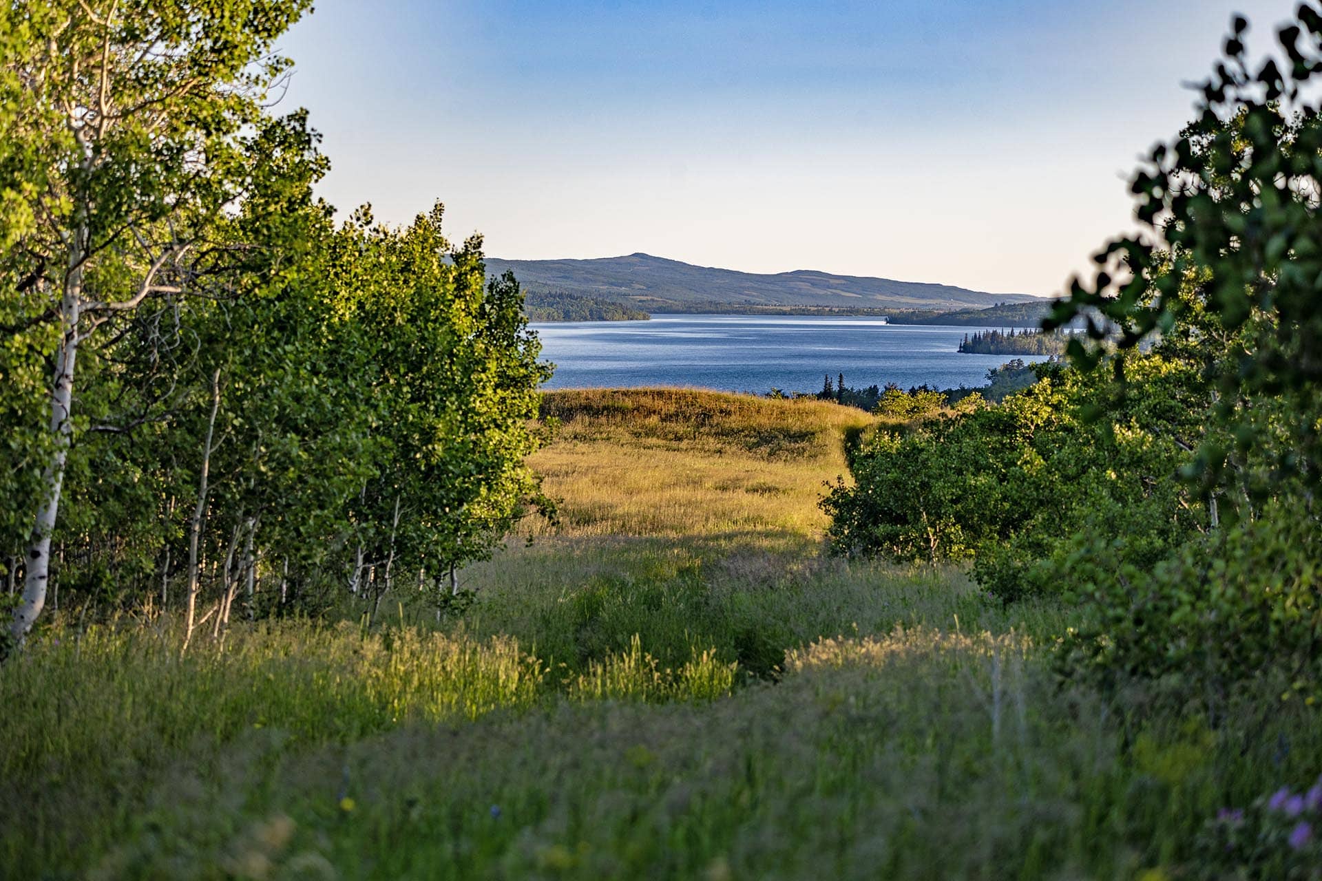 lake view meadow land for sale montana st. mary overlook