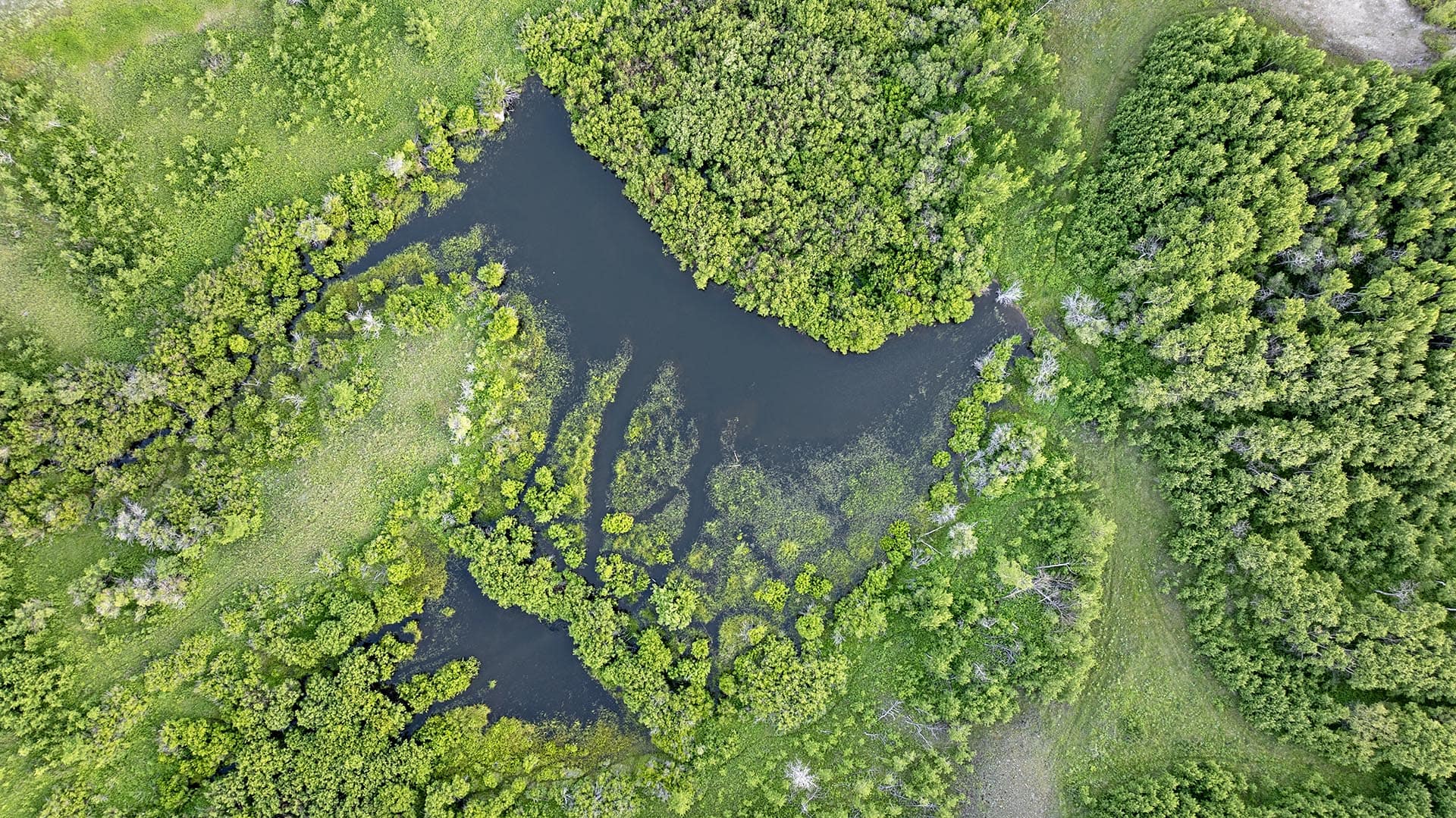 land for sale with aerial wetland view montana st. mary overlook