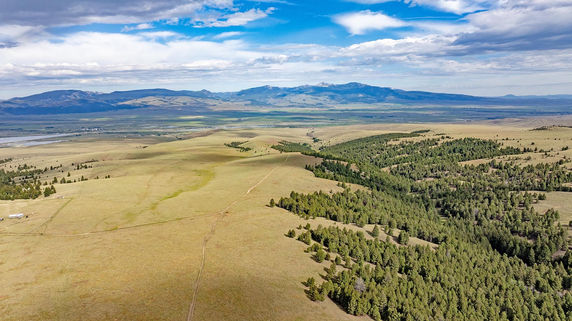 land for sale with timber and mountain views montana spotted dog retreat