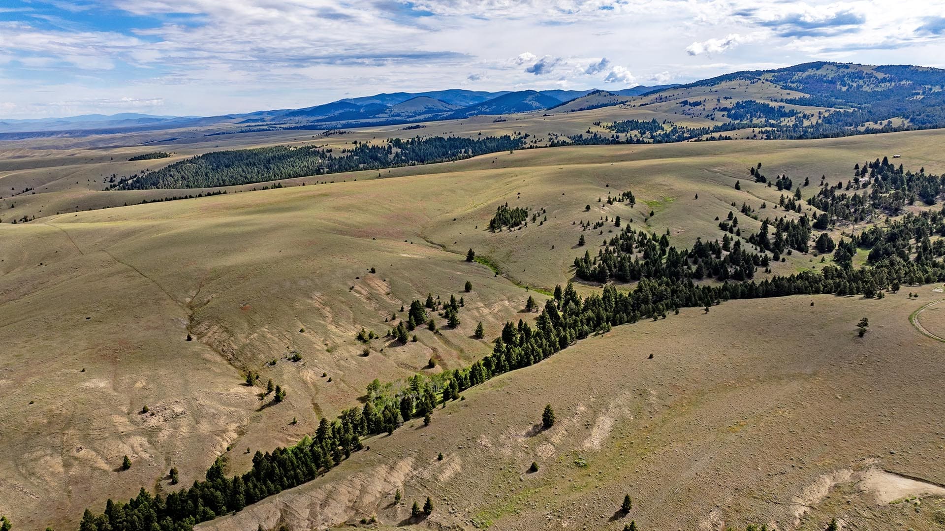 land with treed creek bed montana spotted dog retreat