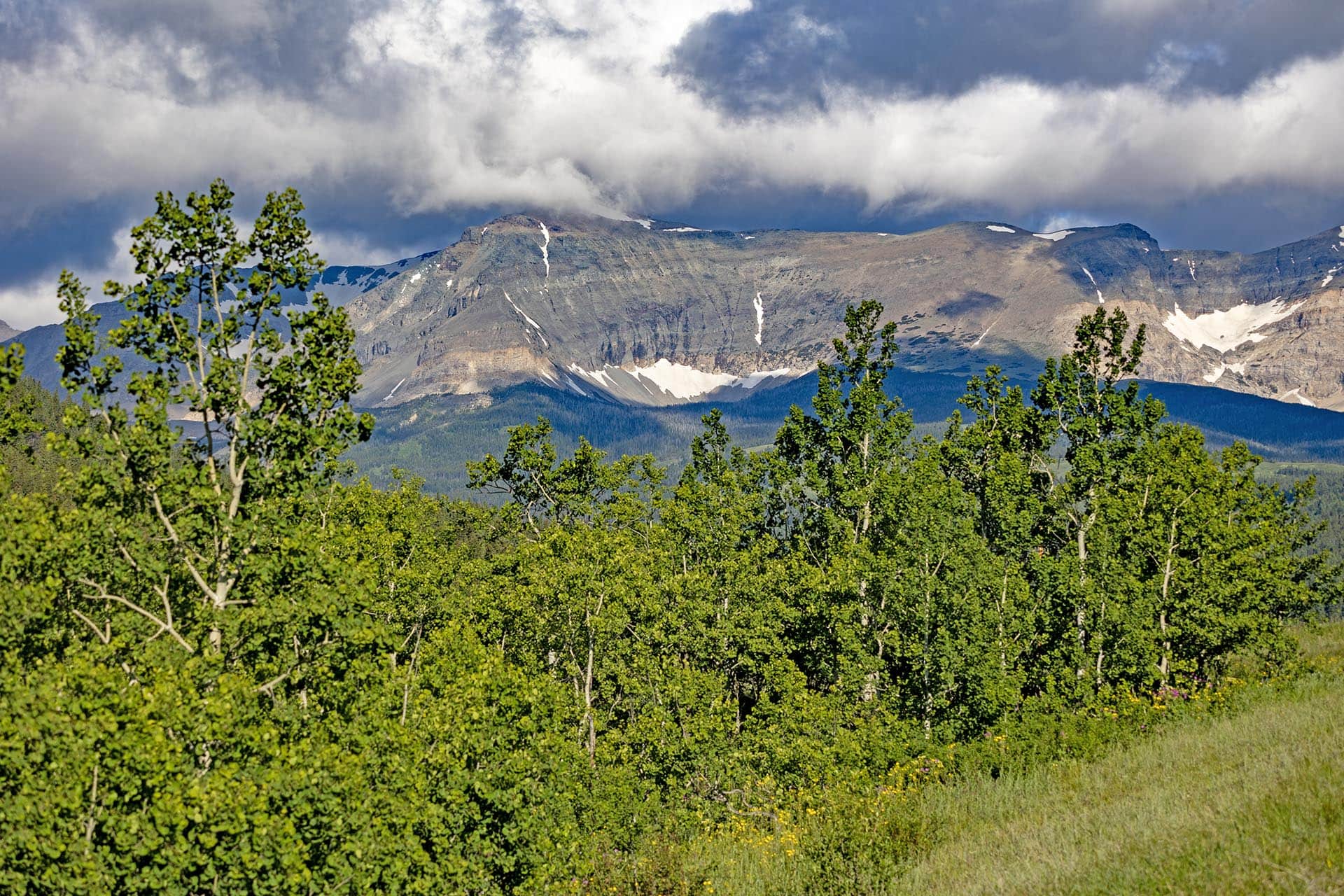 large acreage for sale view montana cutbank creek fishing retreat