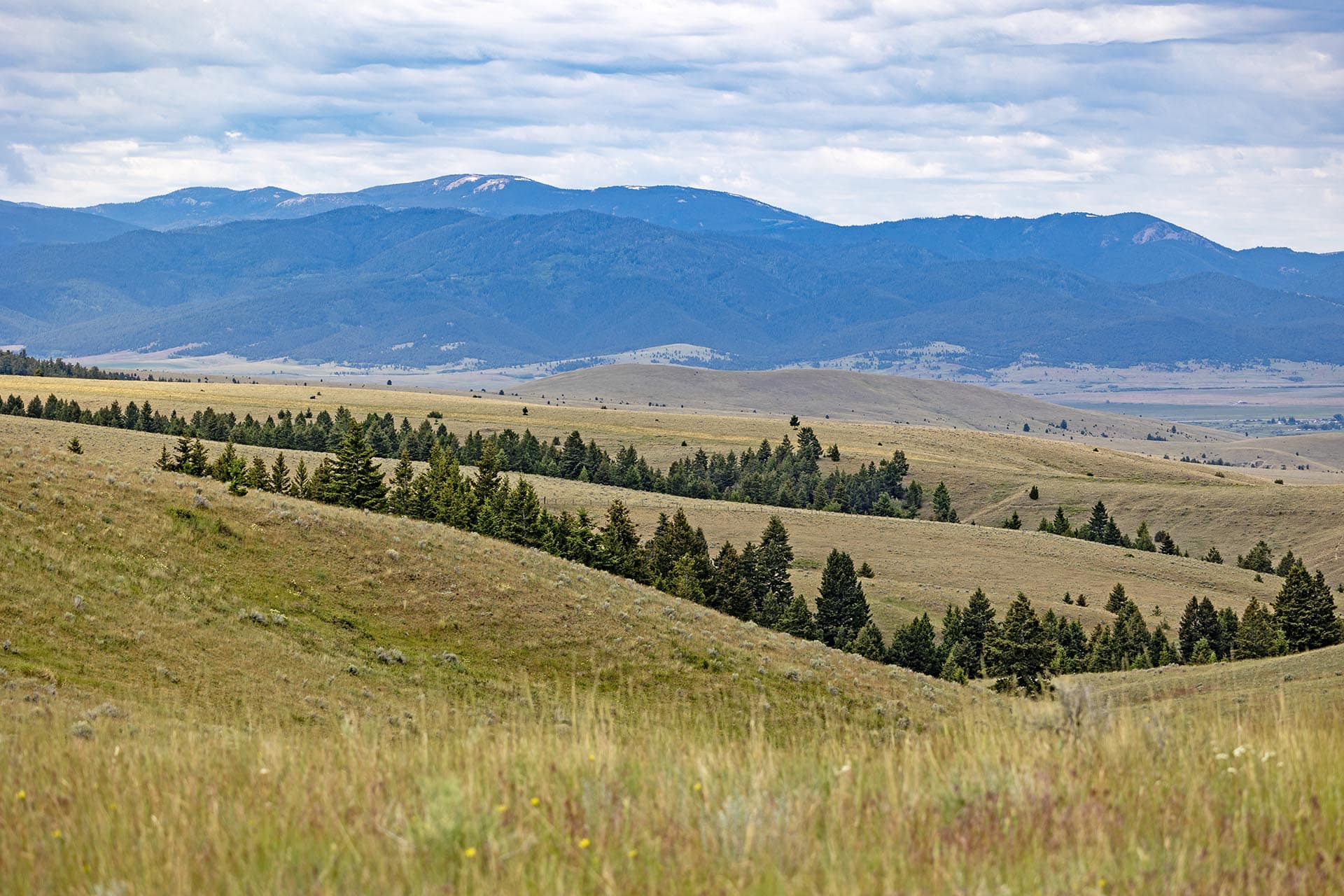 large acreage with mountain views montana spotted dog retreat