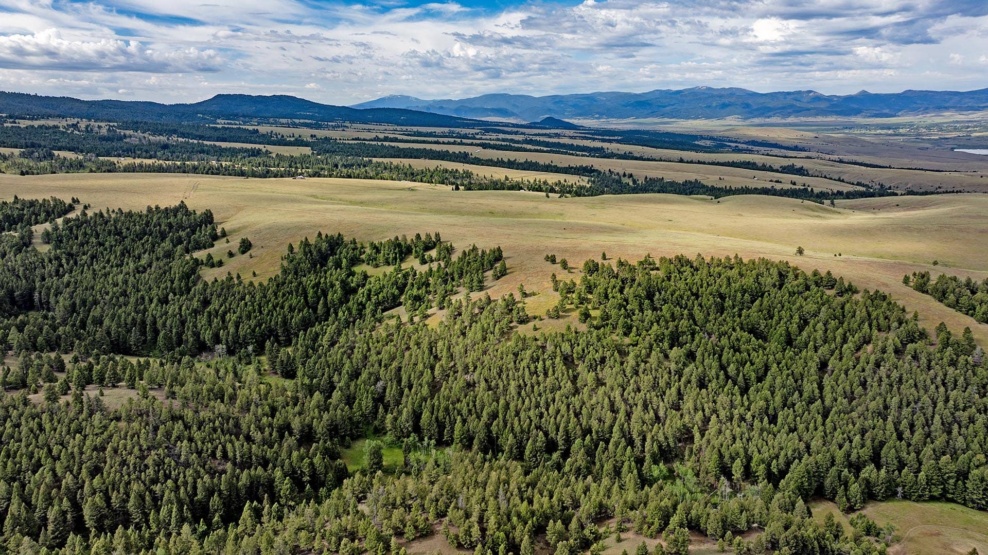 large acreage with timber and pond montana spotted dog retreat